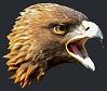 Southern Miss GoldenEagles.net